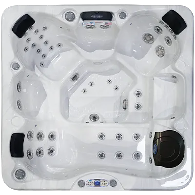 Avalon EC-849L hot tubs for sale in Aurora