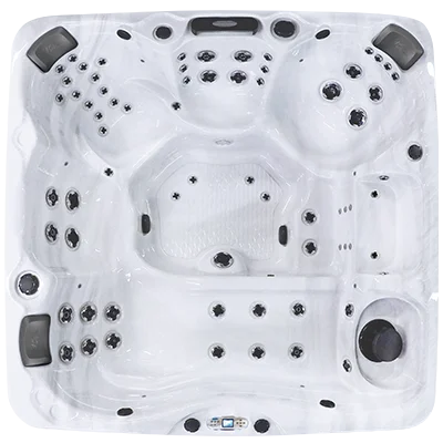 Avalon EC-867L hot tubs for sale in Aurora