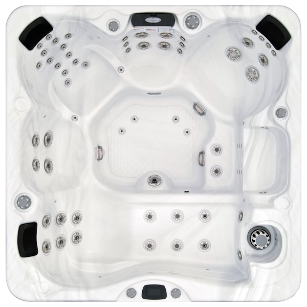 Avalon-X EC-867LX hot tubs for sale in Aurora